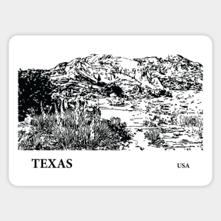 Texas USA Sticker
